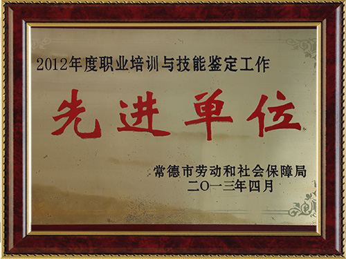 2012年度職業(yè)培訓(xùn)與技能鑒定工作-先進對單位